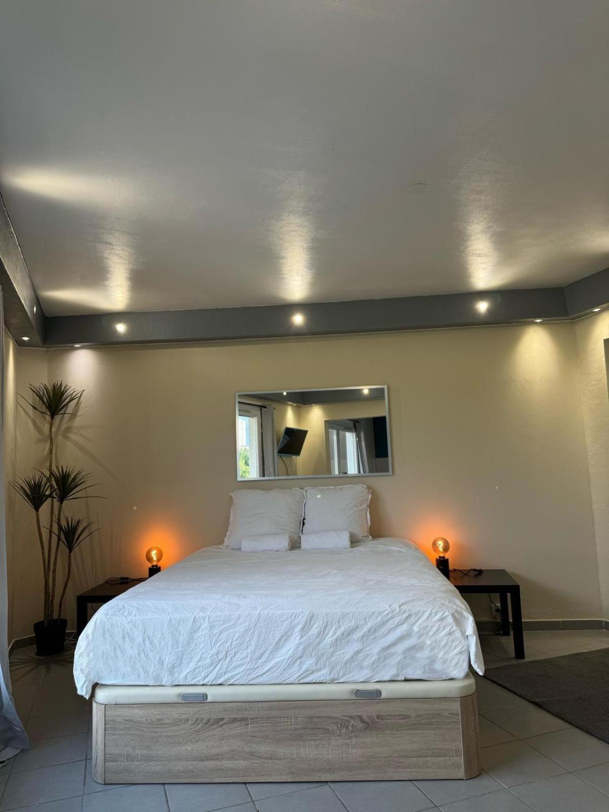 Appart' Hotel Fauriel Saint Etienne Avec Parking Экстерьер фото